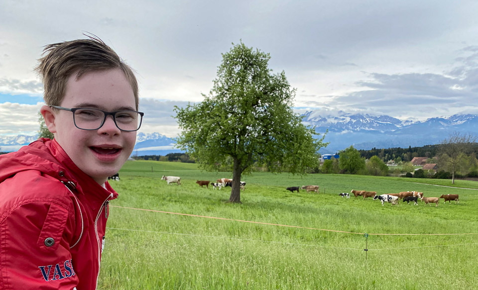 Ochtendwandeling in Zwitserland Ochtendwandeling in Zwitserland