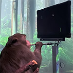 Neuralink laat app Pong spelen met zijn gedachten