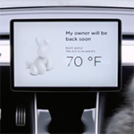Tesla lanceert 'honden'-modus
